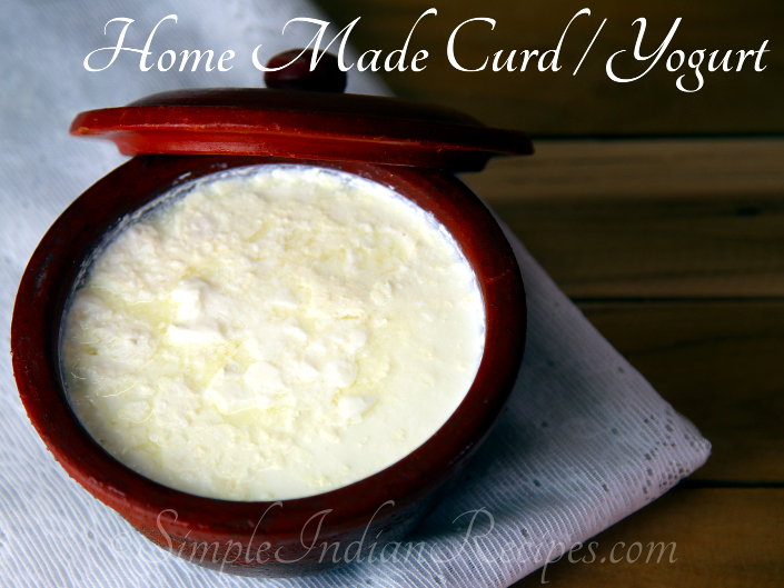 Home Made Curd or Yogurt