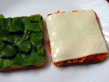 Tricolor Vegetable Sandwich Steps